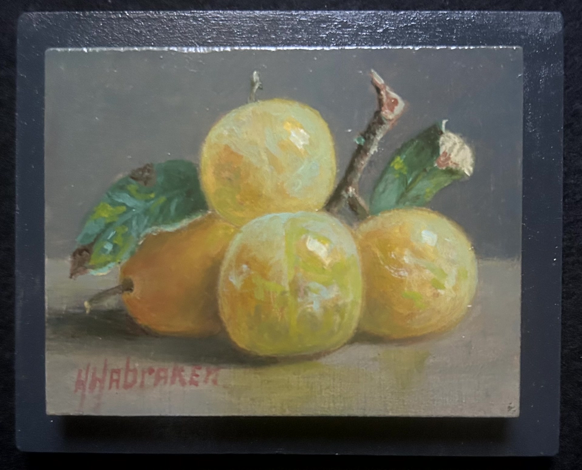 Druiven van Hans Habraken